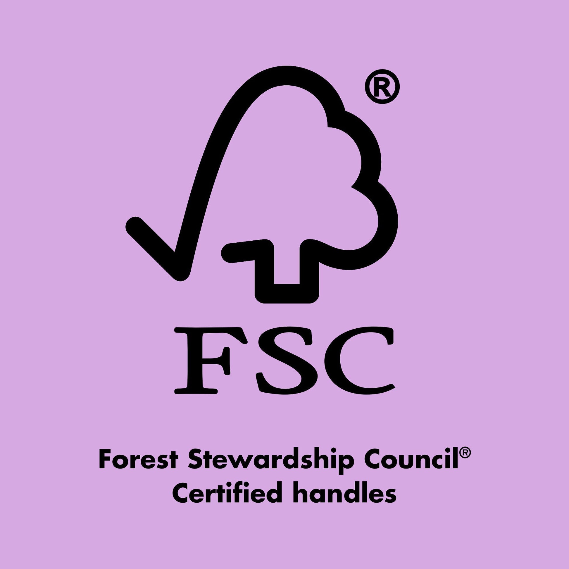 ten-out-of-ten-brush-kit-q1 0423_EDUCATION_FSC_EVERGREEN.jpg