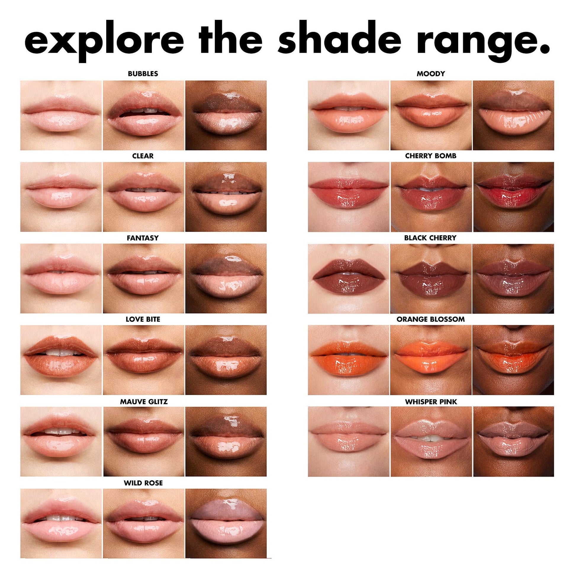 lip-lacquer-z3 0426_EDU_LipLaquer_ShadeChartFull.jpg