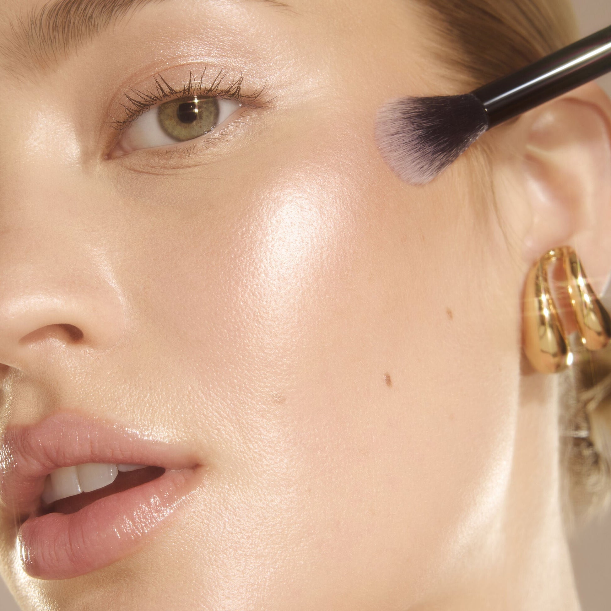 high-points-highlighter-brush-z6 060325_Genevieve_HGPH_Brush_2467_v2_RGB_IGF.jpg