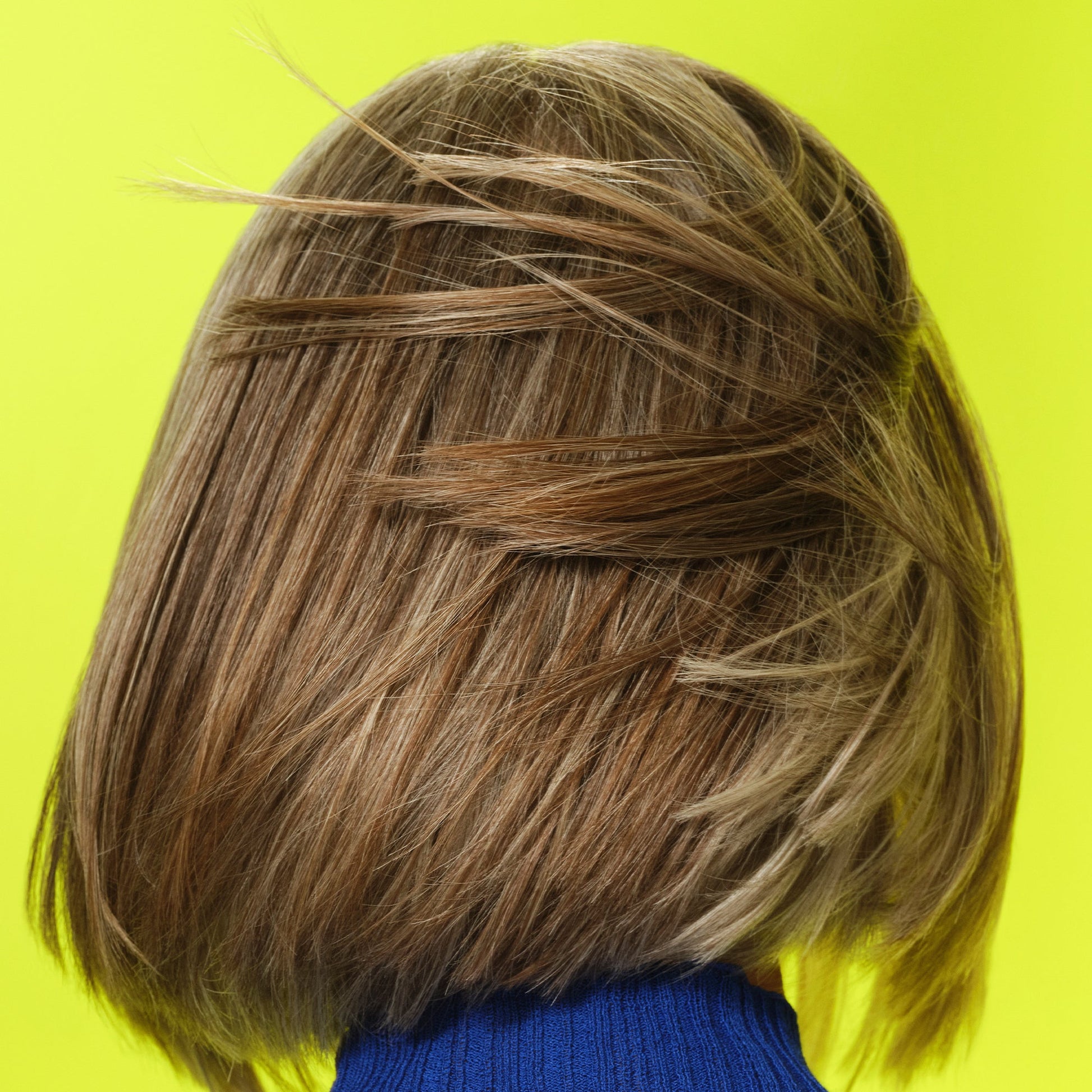 frizz-to-rizz-trio-c6 111725_Vicky_HumidityAntifrizz-Editorial_0538_w2QC_IGF_1x1_05a09617-4ccf-44a2-8545-199321a503e1.jpg